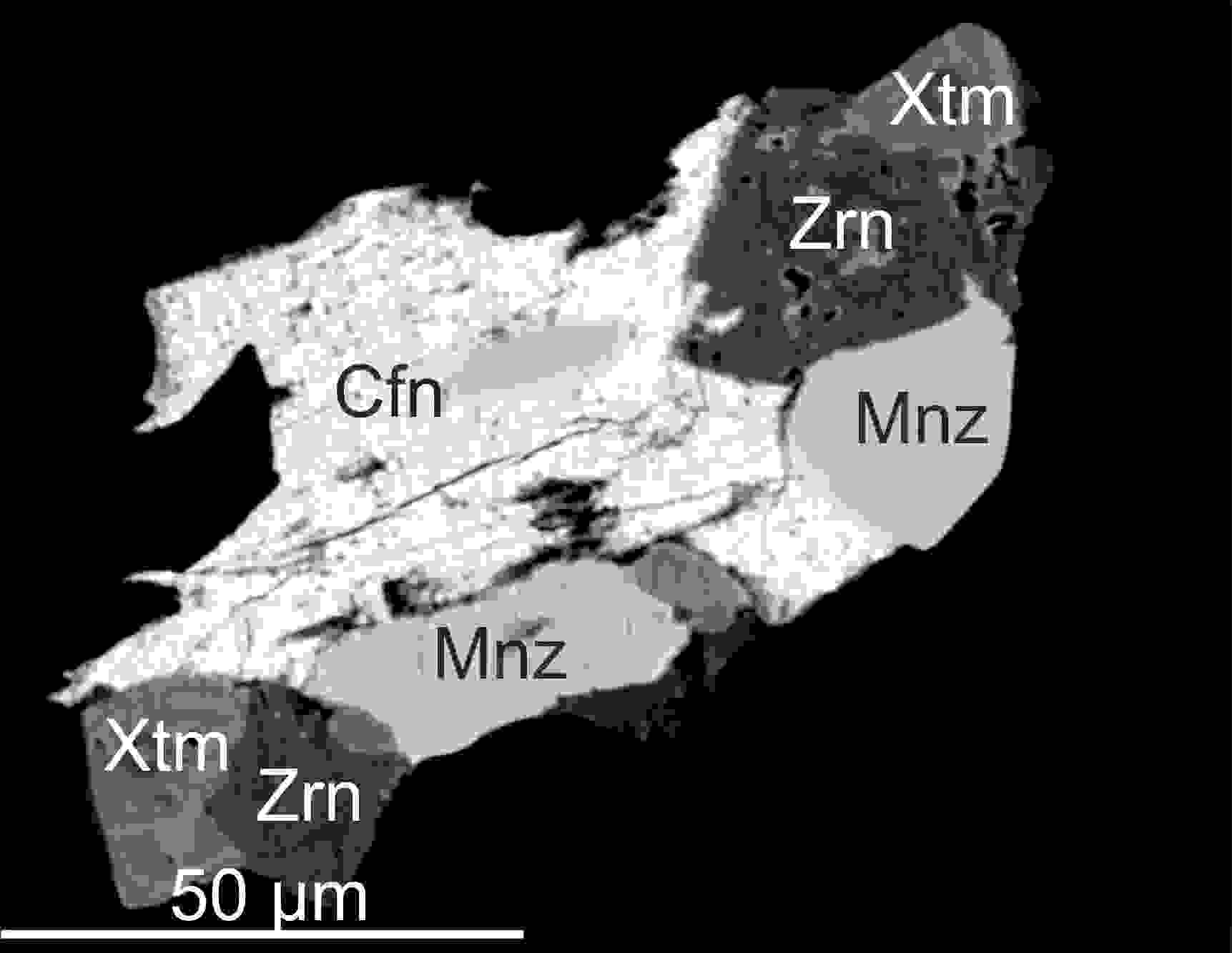 SEM BSE image of accessory mineral