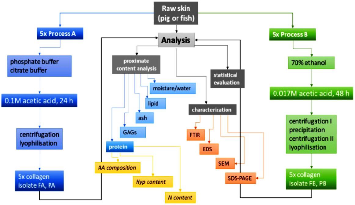 The investigation of batch-to-batch variabilities in the composition of isolates from fish and mammalian species using different protocols.