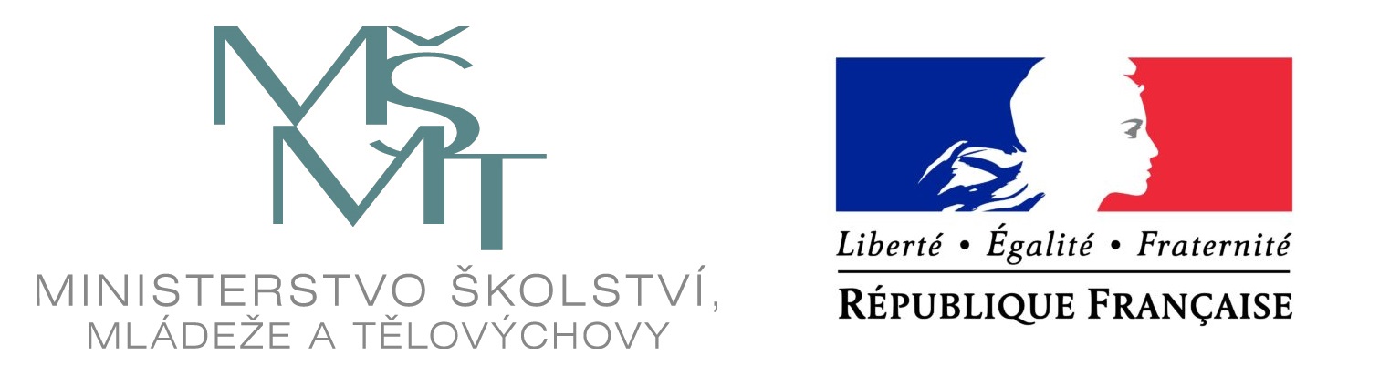 Mobility Projekty MSMT-Francie