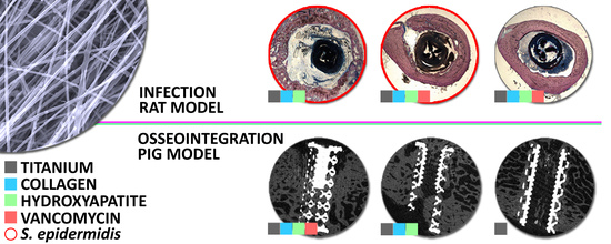 Graphical abstract