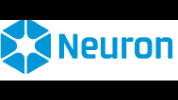 neuron