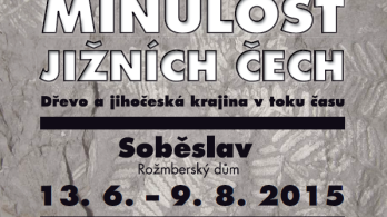 plakat_zkamenela_minulost_JC